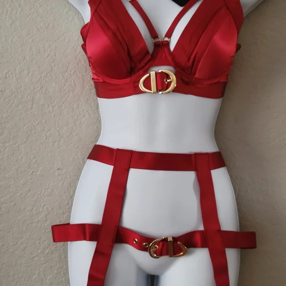 Honey Birdette Red Bra with Gold Accents - Picture 8 of 10